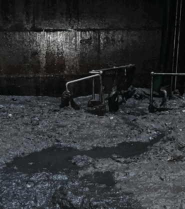 fotor_2023-2-24_15_15_3